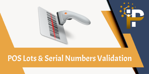 POS Lots & Serial Numbers Validation