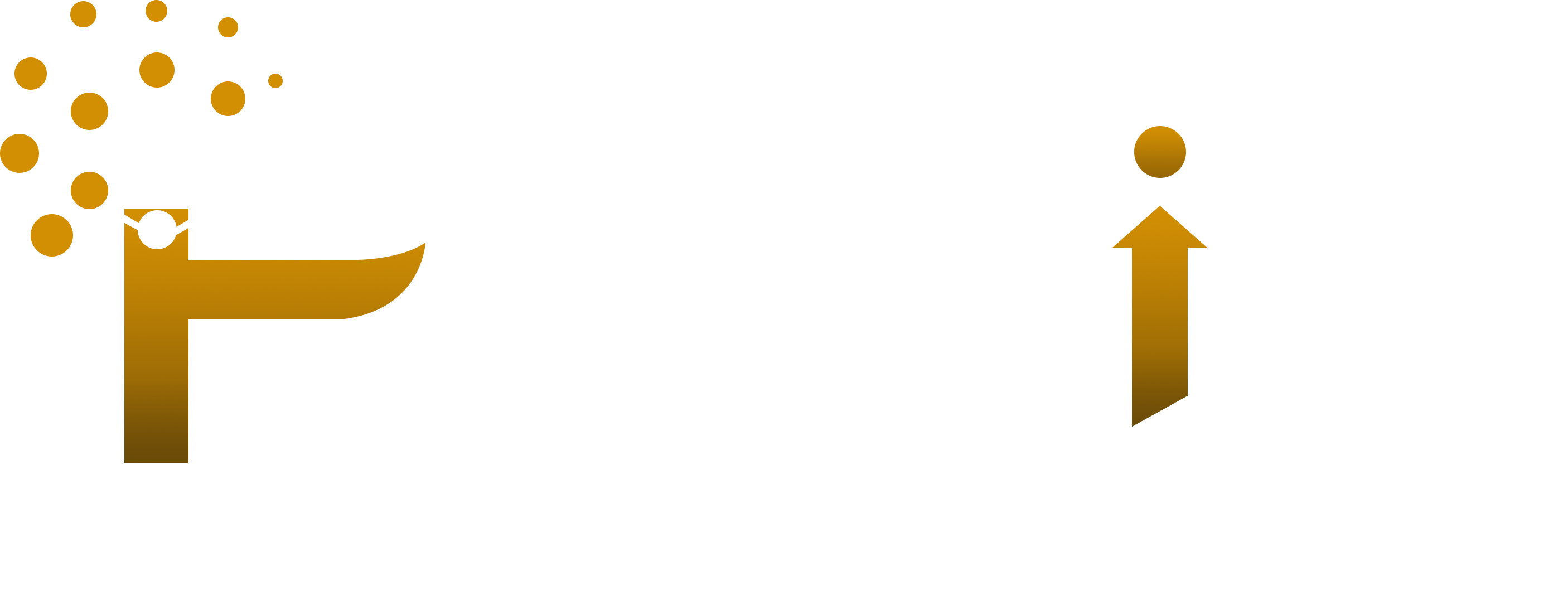Logo of iPredict IT Solutions Pvt. Ltd.